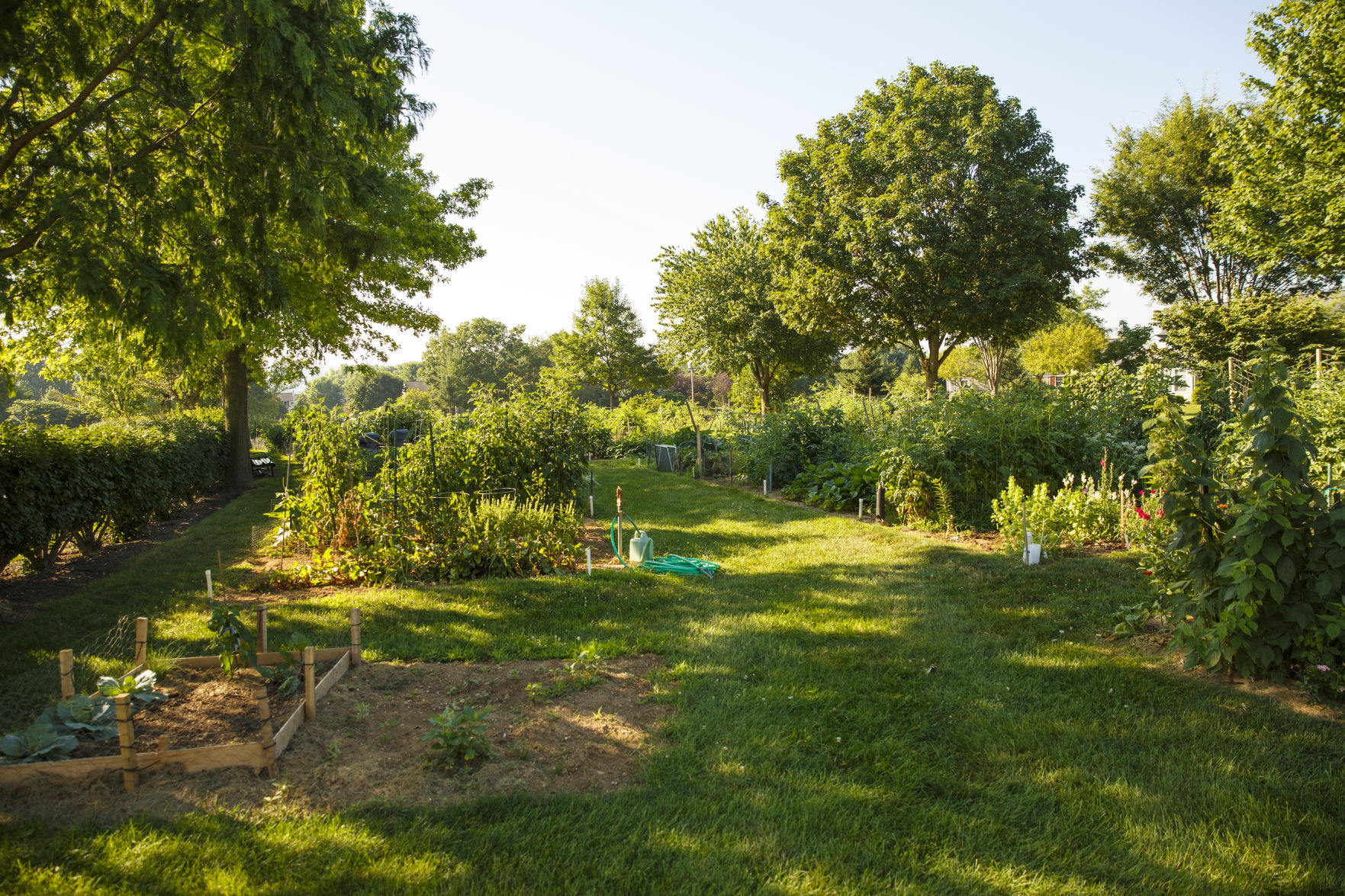 Garden Spot garden